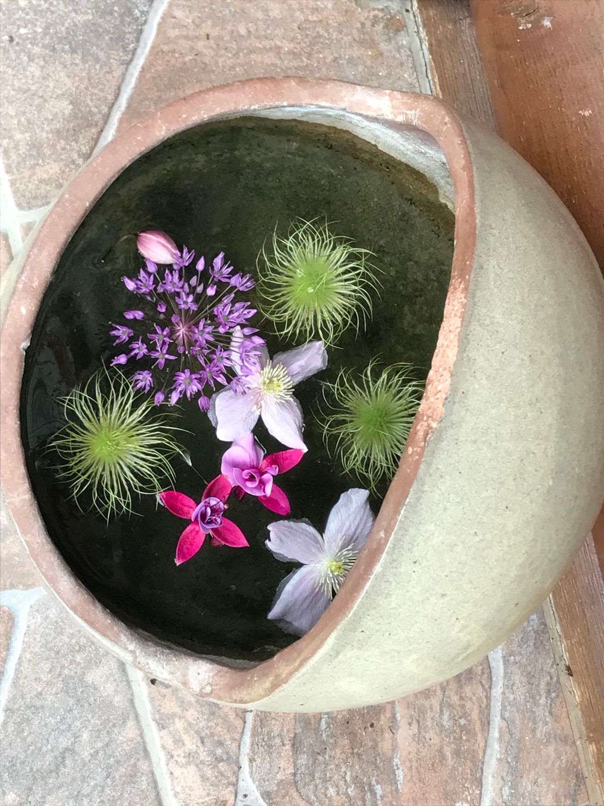 AutoCamp Maribor Welcome