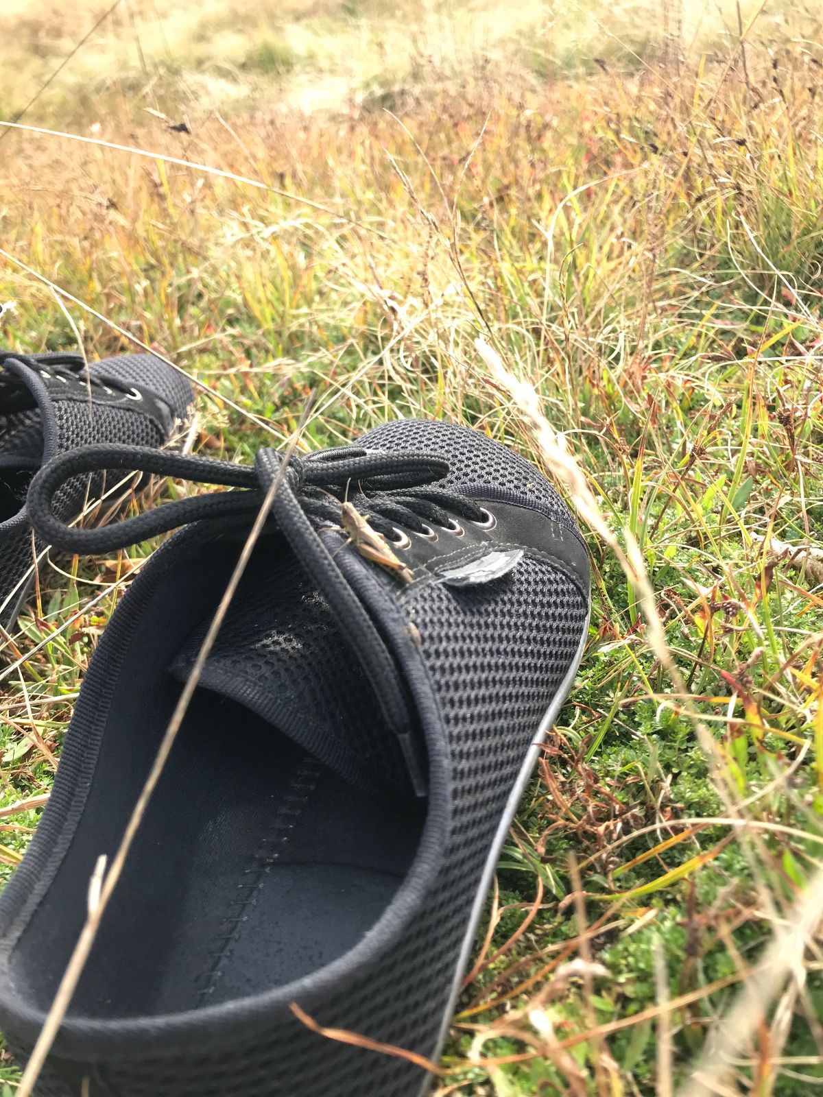 Barfussschuhe sind ideal