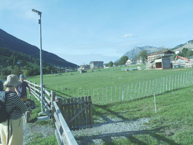 P1110565