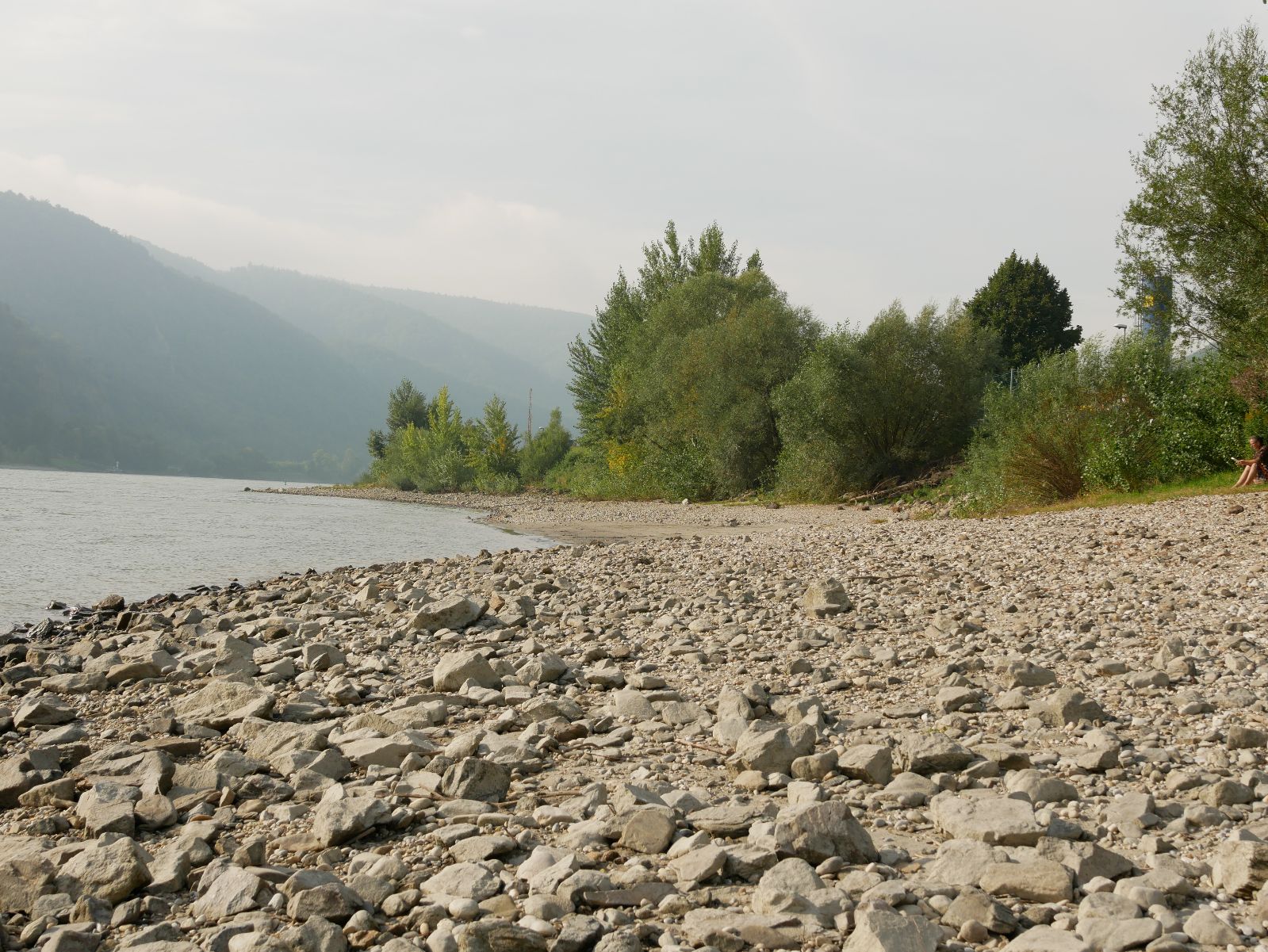Donauufer in Aggstein links der Donau