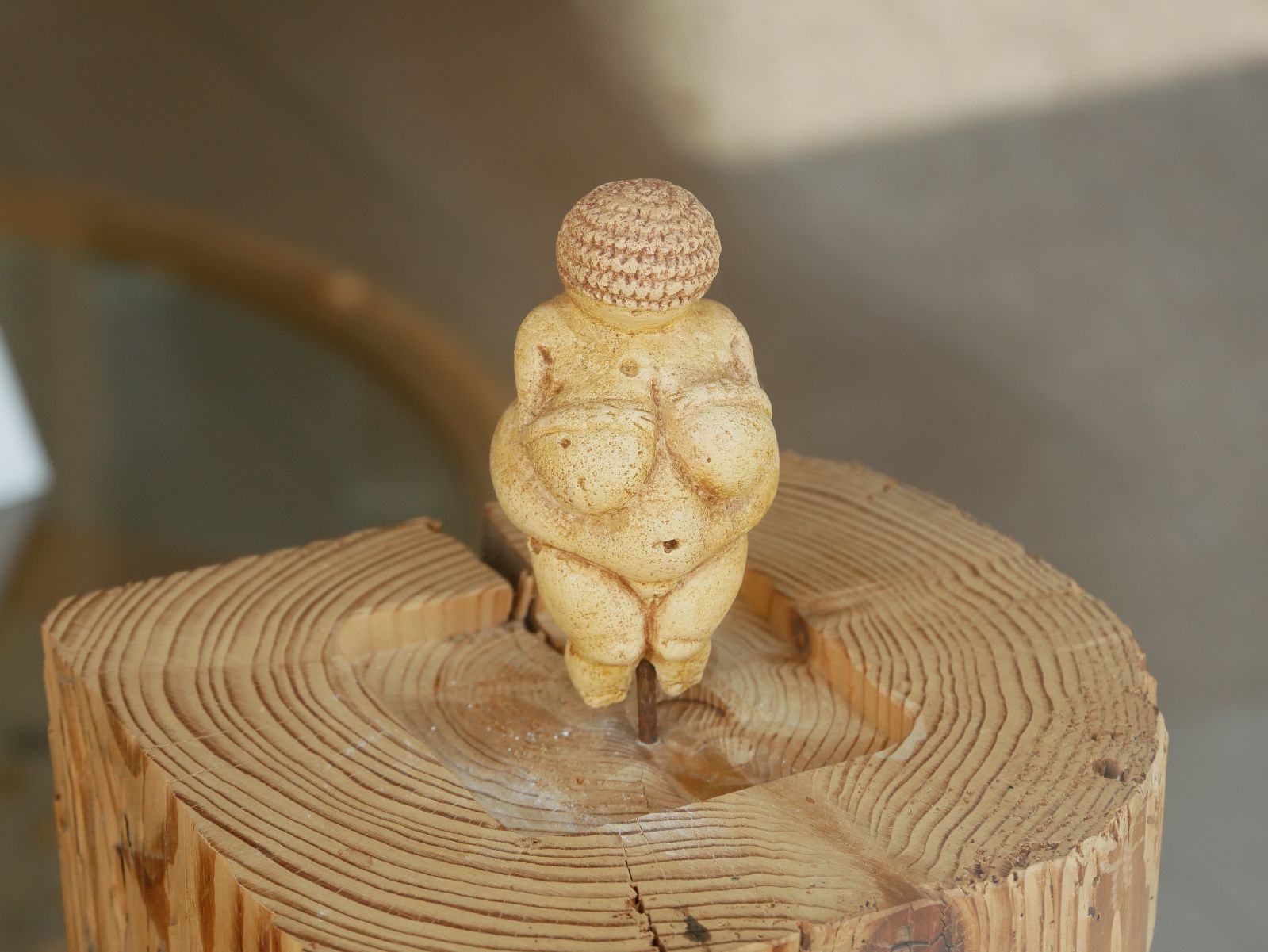 Venus im Museum