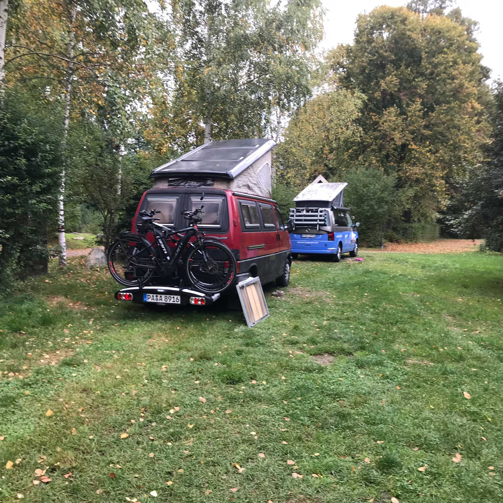 auf der Zeltwiese im Lichtenfels Camping