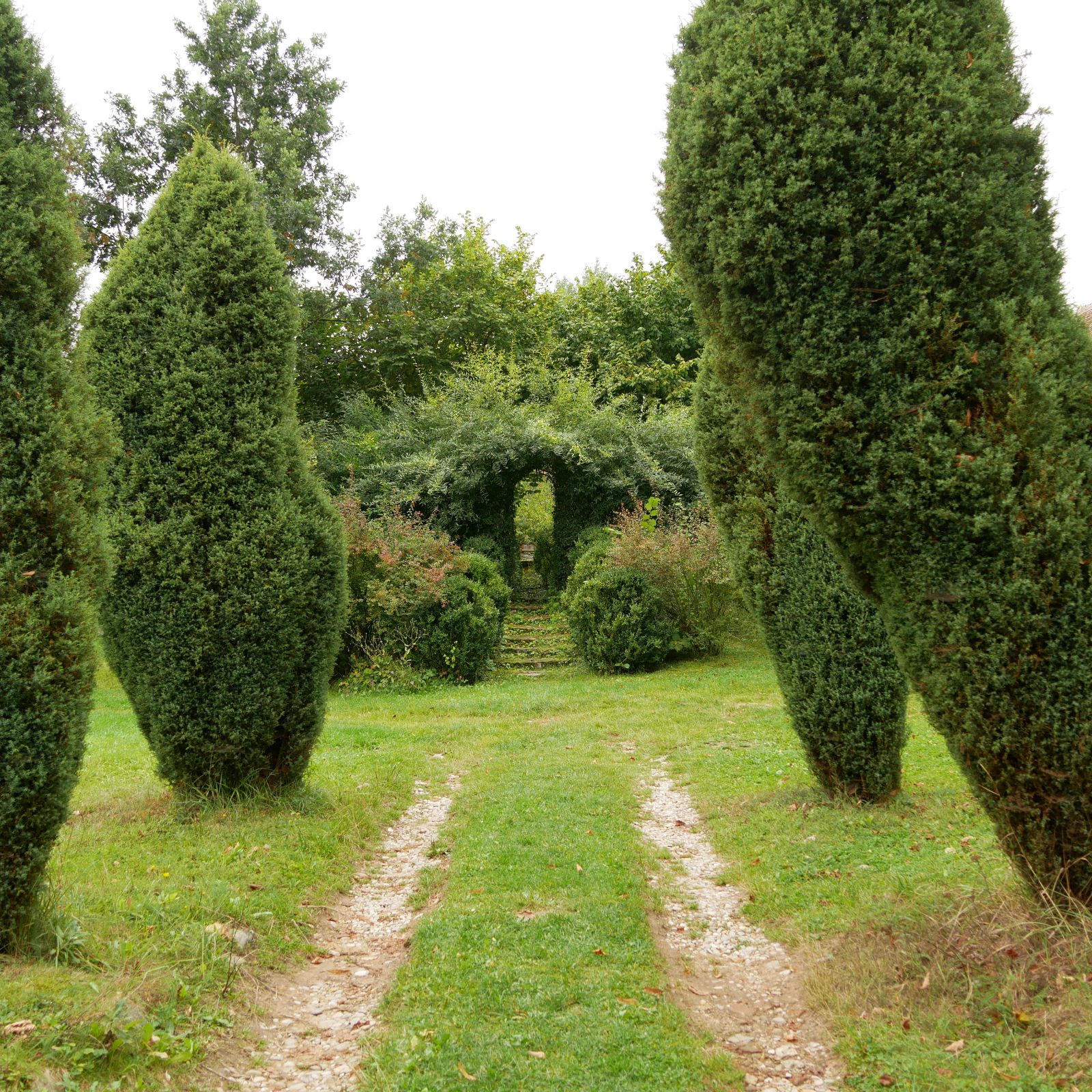 Museum Humanum in Fratres